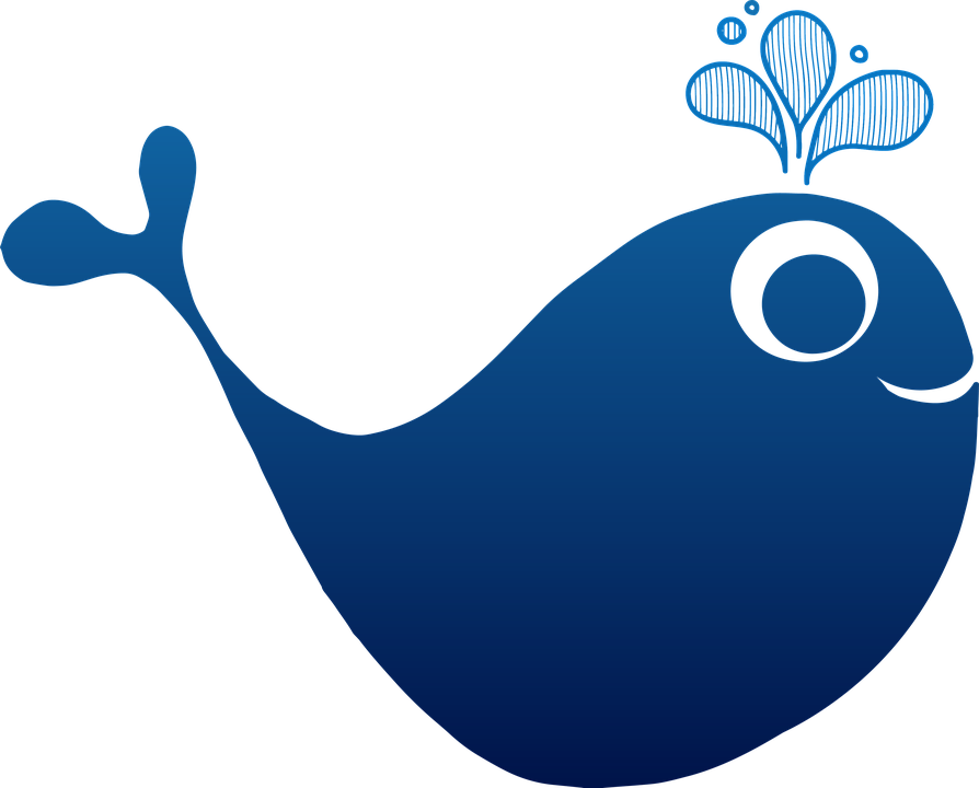 LA BALENA MANGIAPLASTICA